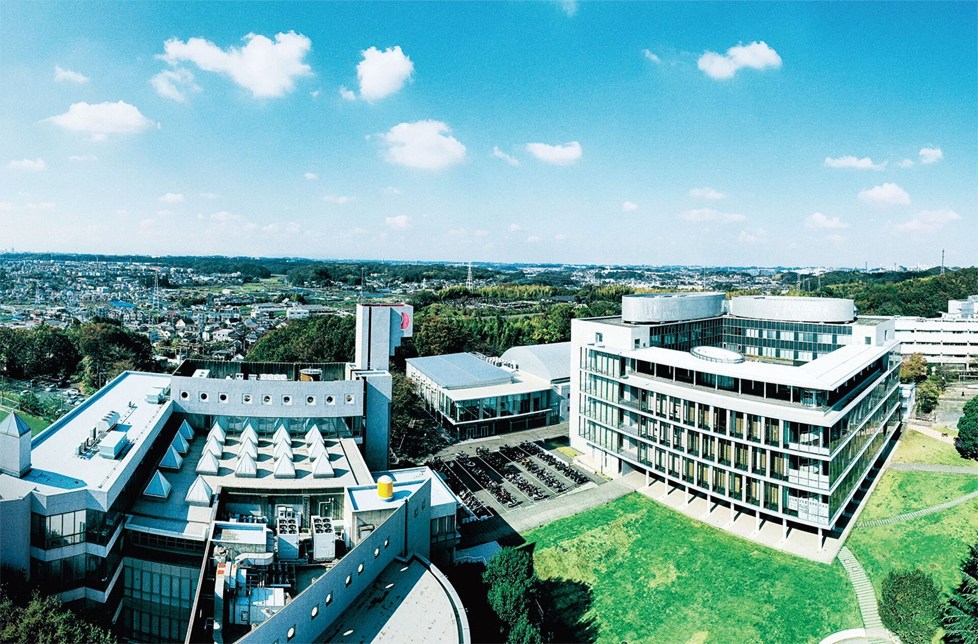 桜井 智野風 教授